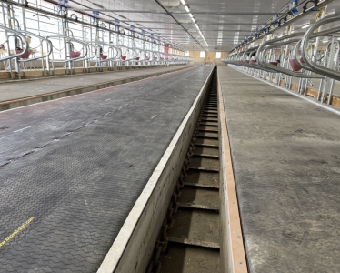 Ferme Sapinière
